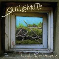Buy Guillemots - Through The Windowpane Mp3 Download