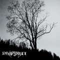 Buy Drapsnatt - Skelepht Mp3 Download