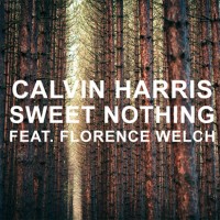 Purchase Calvin Harris - Sweet Nothing (Feat. Florence Welch) (CDS)