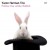 Purchase Yaron Herman Trio- Follow the white Rabbit MP3