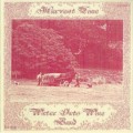 Buy Water Into Wine Band - Harvest Time Mp3 Download
