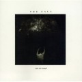 Buy The Call - Into The Woods (Vinyl) Mp3 Download