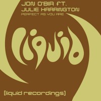 Purchase Jon O'Bir - Perfect As You Are (CDS)