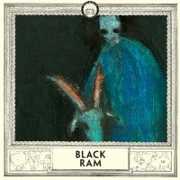 Purchase Magnolia Electric Co. - Sojourner (Black Ram) CD1