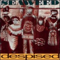 Purchase Seaweed - Despised