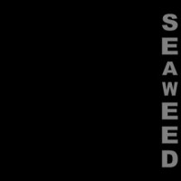 Purchase Seaweed - Seaweed