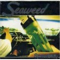 Buy Seaweed - Spanaway Mp3 Download