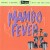 Buy VA - Ultra-Lounge Vol. 02 - Mambo Fever Mp3 Download