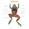 Buy The Verve Pipe - The Verve Pipe Mp3 Download