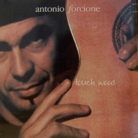 Purchase Antonio Forcione - Touch Wood