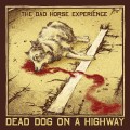 Buy The Dad Horse Experience - Dead Dog On A Highway Mp3 Download