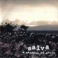 Buy Salva - A Handful Of Earth Mp3 Download