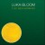 Buy Luka Bloom - This New Morning Mp3 Download