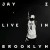 Buy Jay-Z - Live In Brooklyn Mp3 Download