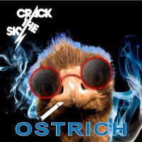 Purchase Crack The Sky - Ostrich