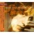 Buy Todd Rundgren - Free Soul Runt Mp3 Download