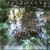 Buy Shroud - In The Garden Mp3 Download
