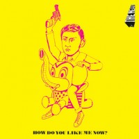 Purchase The Heavy - How You Like Me Now? (MCD)