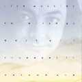 Buy Rich Mullins - The World As Best As I Remembe Mp3 Download