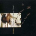 Buy Mohsen Namjoo - Toranj Mp3 Download