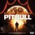 Buy Pitbull - Global Warming Mp3 Download