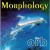 Buy The Orb - Morphology Mp3 Download
