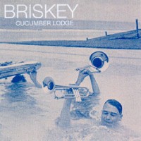Purchase Briskey - Cucumber Lodge