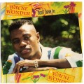 Buy Wayne Wonder - Don't Have To Mp3 Download