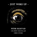 Buy Peter Blegvad - Just Woke Up Mp3 Download