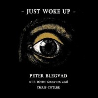 Purchase Peter Blegvad - Just Woke Up