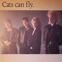 Purchase Cats Can Fly - Cats Can Fly