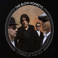 Purchase The Blow Monkeys - Staring At The Sea