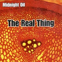 Purchase Midnight Oil - The Real Thing