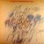 Buy Pat Metheny Trio - Rejoicing (Vinyl) Mp3 Download