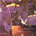 Buy Kim Richey - Bittersweet Mp3 Download