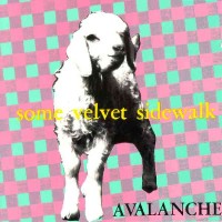 Purchase Some Velvet Sidewalk - Avalanche