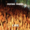 Buy Peatbog Faeries - Live Mp3 Download