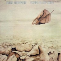 Purchase Arild Andersen - Clouds In My Head (Vinyl)