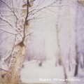 Buy The Smallest Bones - Cross Mountain Mp3 Download