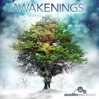 Purchase Audiomachine - Awakenings