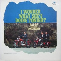 Purchase Barry & The Tamerlanes - I Wonder What She's Doing Tonight