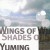 Buy Yumi Matsutoya - Wings Of Winter, Shades Of Summer Mp3 Download