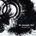 Buy The Pineapple Thief - The Dawn Raids Vol. 2 (EP) Mp3 Download