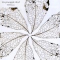 Buy The Pineapple Thief - 3000 Days CD1 Mp3 Download