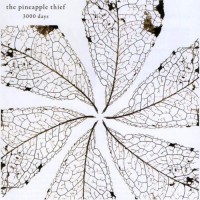 Purchase The Pineapple Thief - 3000 Days CD1