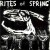 Buy Rites Of Spring - Rites of Spring (Vinyl) Mp3 Download