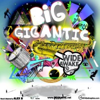 Purchase Big Gigantic - Wide Awake