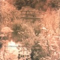 Buy Red House Painters - Red House Painters II: Bridge Mp3 Download