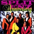 Buy Split Enz - Anniversary Mp3 Download