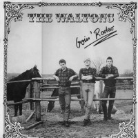 Purchase The Waltons - Goin' Rodeo (Vinyl)